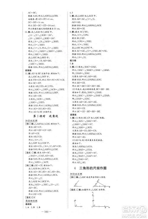 陕西人民教育出版社2021练案五四学制七年级数学上册鲁教版参考答案