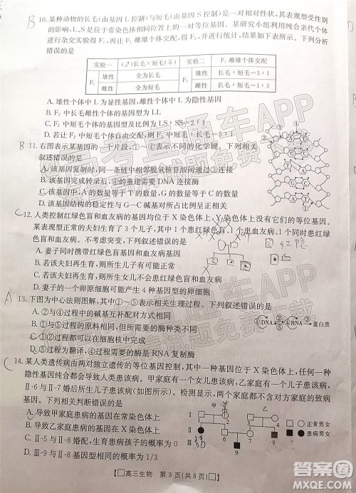 2022届吉林金太阳高三12月联考生物试题及答案