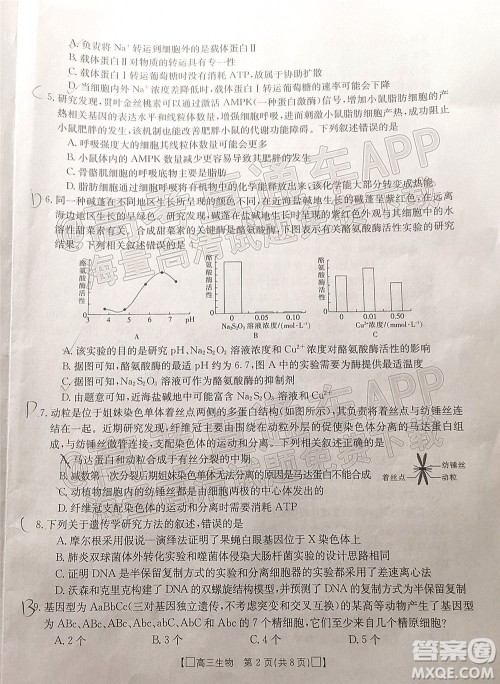 2022届吉林金太阳高三12月联考生物试题及答案