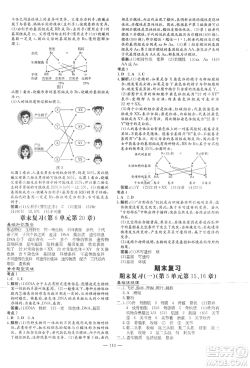 吉林教育出版社2021练案课时作业本八年级生物学上册北师大版参考答案