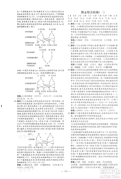 吉林教育出版社2021练案课时作业本八年级生物学上册北师大版参考答案