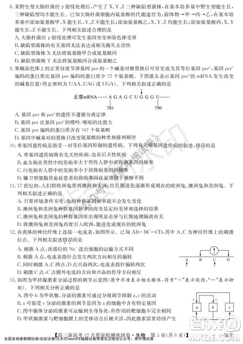 九师联盟2021-2022学年高三新高考12月质量检测巩固卷湖北卷生物试题及答案 九师联盟2021-2022学年高三新高考12月质量检测巩固卷湖北卷生物试题及答案
