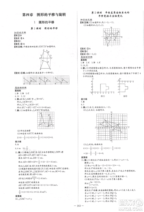 陕西人民教育出版社2021练案五四学制八年级数学上册鲁教版参考答案