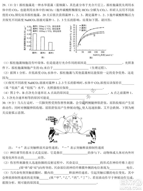 哈尔滨市第九中学2021-2022学年度上学期期末考试高三理科综合试题及答案