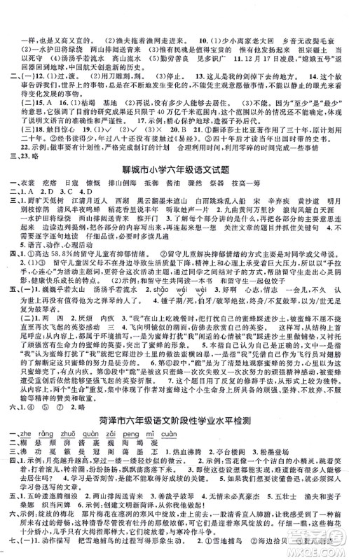 江西教育出版社2021阳光同学一线名师全优好卷六年级语文上册RJ人教版山东专版答案