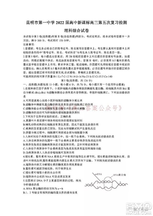 昆明市第一中学2022届高中新课标高三第五次二轮复习检测理科综合试卷及答案 昆明市第一中学2022届高中新课标高三第五次二轮复习检测理科综合试卷及答案