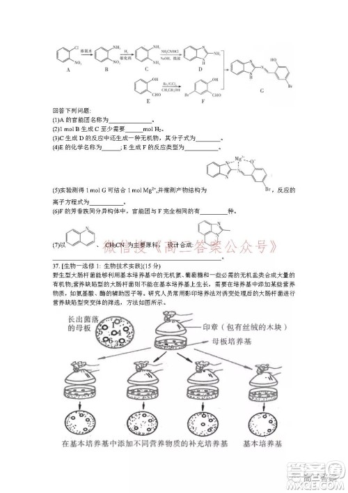 昆明市第一中学2022届高中新课标高三第五次二轮复习检测理科综合试卷及答案