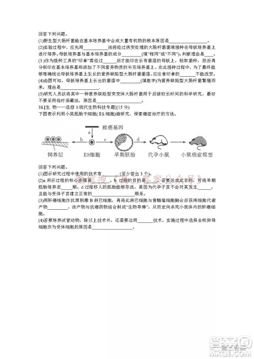 昆明市第一中学2022届高中新课标高三第五次二轮复习检测理科综合试卷及答案 昆明市第一中学2022届高中新课标高三第五次二轮复习检测理科综合试卷及答案