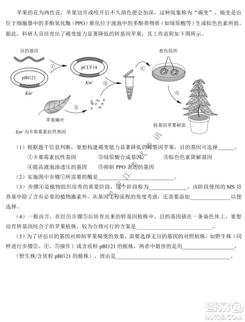 东北师大附中2019级高三年级第三次摸底考试生物试卷及答案