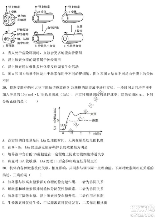 铁人中学2020级高二学年上学期期末考试生物试题及答案