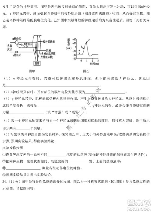 铁人中学2020级高二学年上学期期末考试生物试题及答案