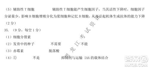 铁人中学2020级高二学年上学期期末考试生物试题及答案