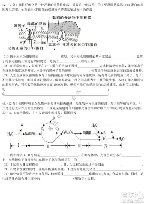 哈师大附中2021级高一上学期期末考试生物试题及答案 哈师大附中2021级高一上学期期末考试生物试题及答案