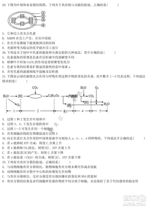 哈师大附中2021级高一上学期期末考试生物试题及答案