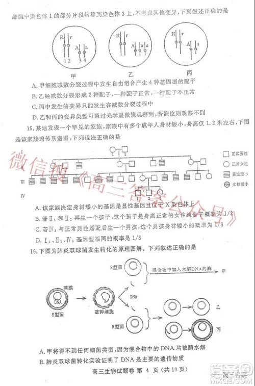 郑州市2022年高中毕业年级第一次质量预测生物试题及答案