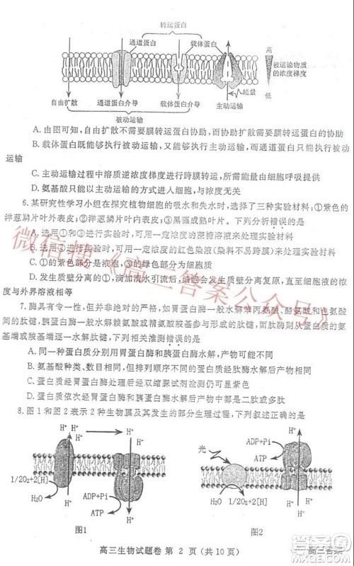 郑州市2022年高中毕业年级第一次质量预测生物试题及答案 郑州市2022年高中毕业年级第一次质量预测生物试题及答案