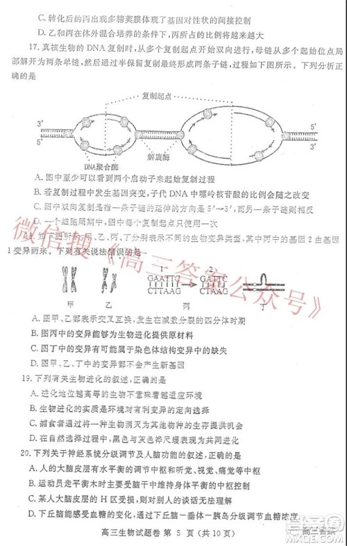 郑州市2022年高中毕业年级第一次质量预测生物试题及答案