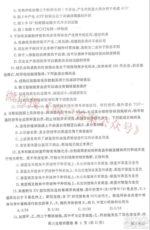 郑州市2022年高中毕业年级第一次质量预测生物试题及答案 郑州市2022年高中毕业年级第一次质量预测生物试题及答案