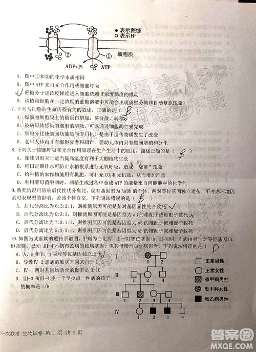 江西省五市九校协作体2022届高三第一次联考生物试卷及答案