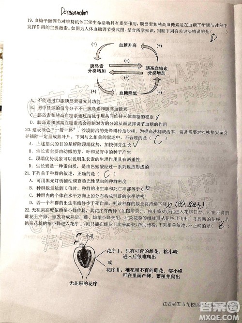 江西省五市九校协作体2022届高三第一次联考生物试卷及答案