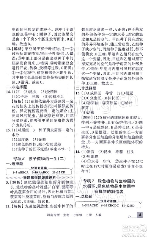 江西人民出版社2021王朝霞各地期末试卷精选七年级生物上册RJ人教版河南专版答案