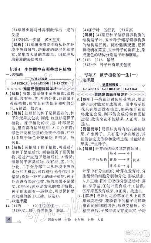 江西人民出版社2021王朝霞各地期末试卷精选七年级生物上册RJ人教版河南专版答案