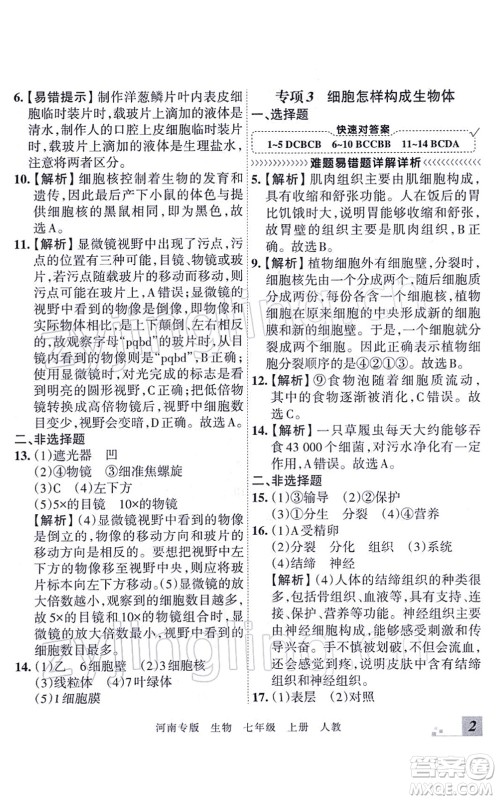 江西人民出版社2021王朝霞各地期末试卷精选七年级生物上册RJ人教版河南专版答案