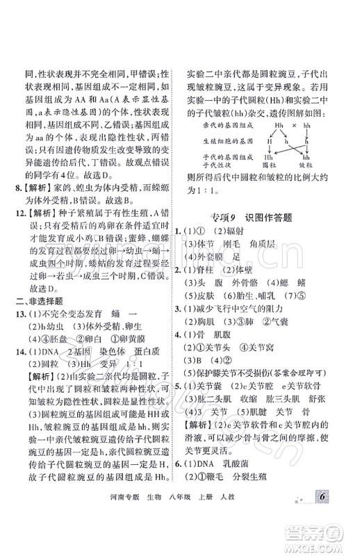 江西人民出版社2021王朝霞各地期末试卷精选八年级生物上册RJ人教版河南专版答案