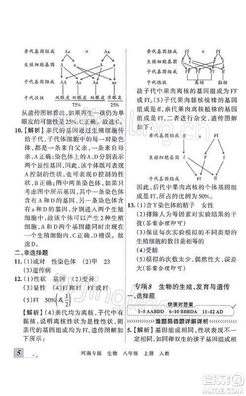 江西人民出版社2021王朝霞各地期末试卷精选八年级生物上册RJ人教版河南专版答案