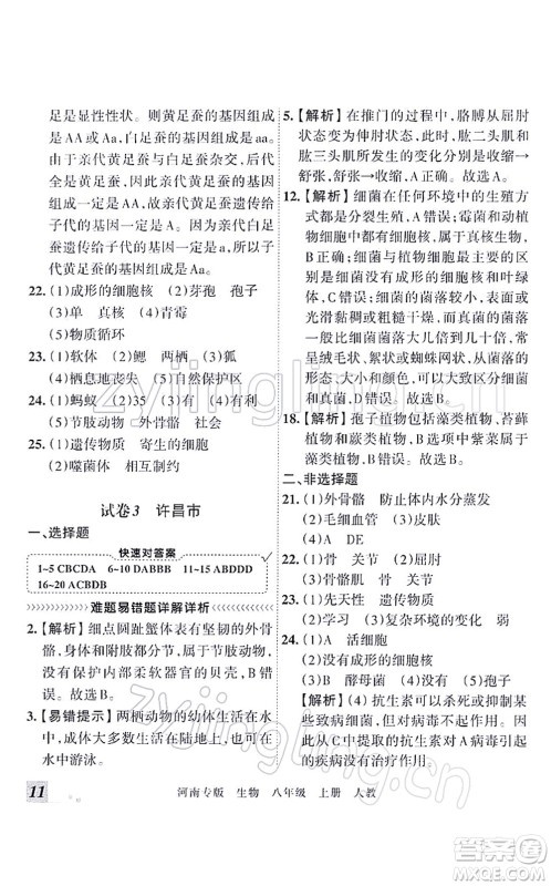 江西人民出版社2021王朝霞各地期末试卷精选八年级生物上册RJ人教版河南专版答案