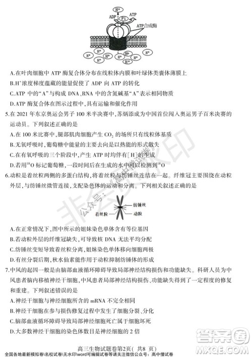 淮北市2022届高三第一次模拟考试生物试卷及答案 淮北市2022届高三第一次模拟考试生物试卷及答案