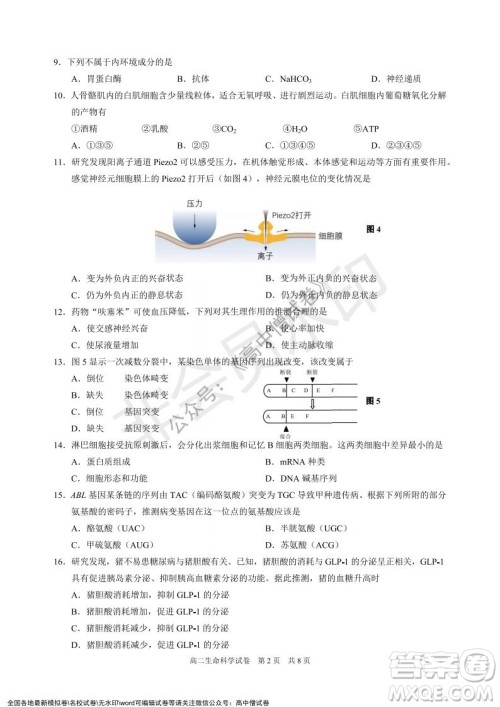 上海黄浦区2021学年度第一学期高三年级期终调研测试生命科学试题及答案