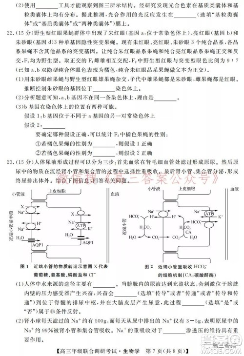 湖北省部分市州2022年元月高三年级联合调研考试生物学试题及答案