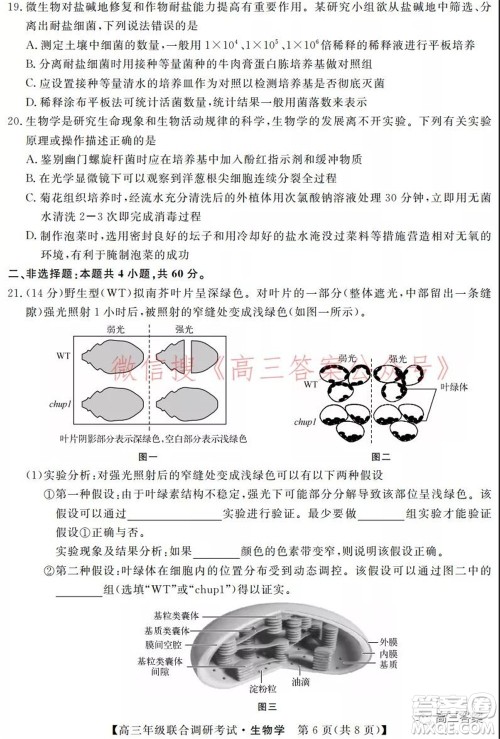 湖北省部分市州2022年元月高三年级联合调研考试生物学试题及答案