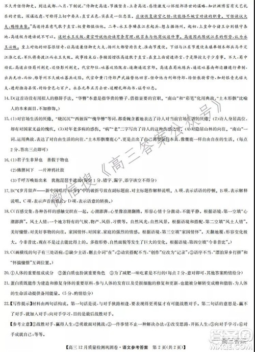 2022届九师联盟高三12月质量检测巩固卷老高考语文试题及答案