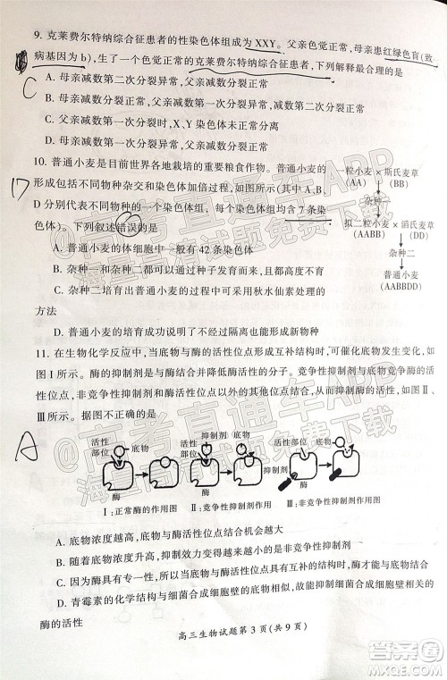 郴州市2022届高三第二次教学质量监测生物试题及答案