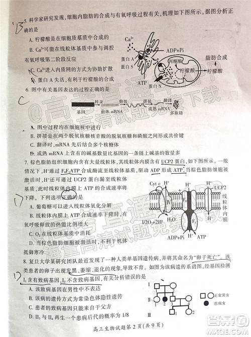 郴州市2022届高三第二次教学质量监测生物试题及答案