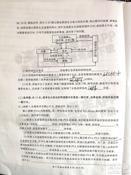 郴州市2022届高三第二次教学质量监测生物试题及答案