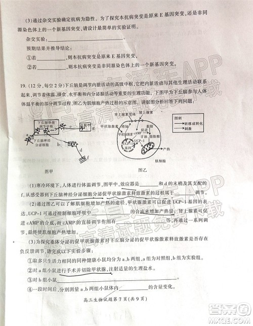 郴州市2022届高三第二次教学质量监测生物试题及答案