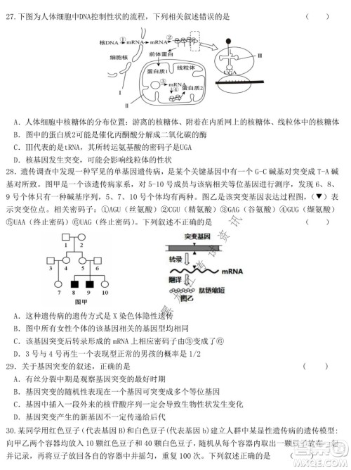 哈尔滨市第六中学2019级上学期期末考试高三生物试题及答案