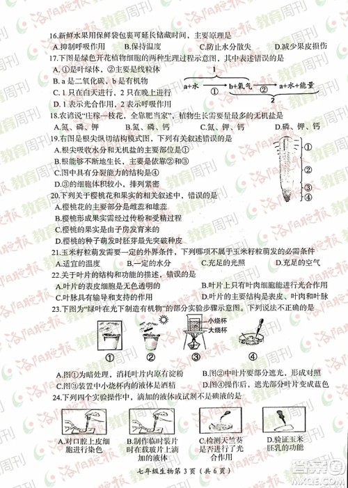 洛阳市2021-2022学年第一学期期末考试七年级生物试题及答案