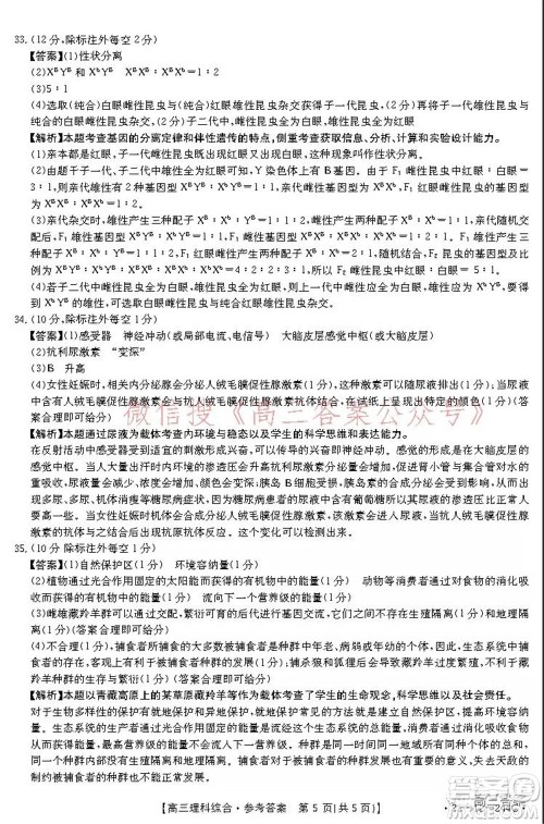 阜阳市2021-2022学年度高三教学质量统测试卷理科综合试题及答案 阜阳市2021-2022学年度高三教学质量统测试卷理科综合试题及答案