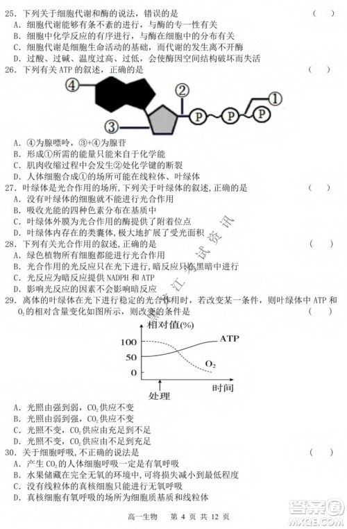 哈三中2021-2022学年度上学期高一学年第一模块考试生物试卷及答案