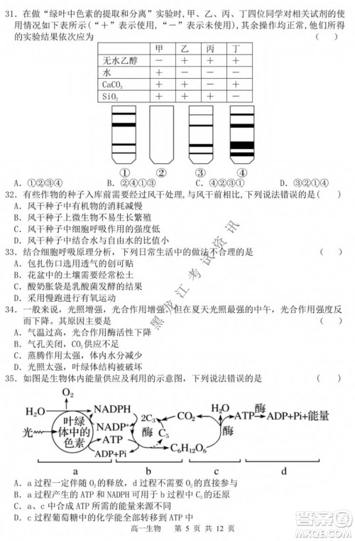 哈三中2021-2022学年度上学期高一学年第一模块考试生物试卷及答案