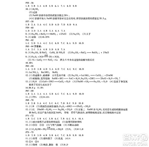 黑龙江少年儿童出版社2022寒假Happy假日九年级化学通用版答案