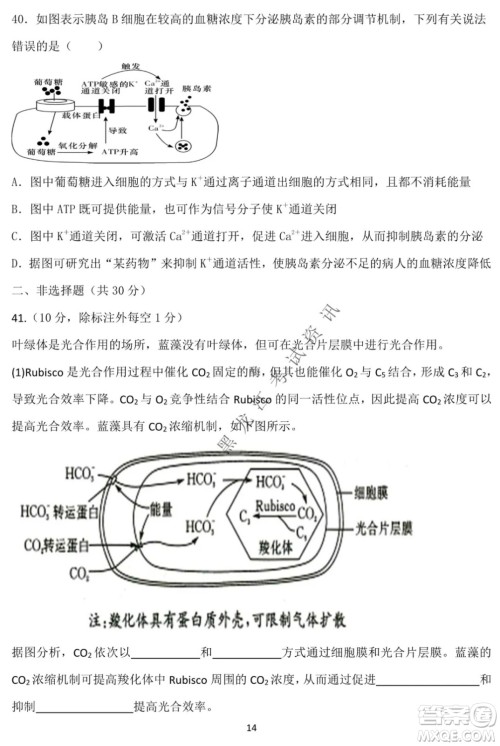 德强高中2021-2022学年度上学期期末验收考试高三学年清北生物试题及答案