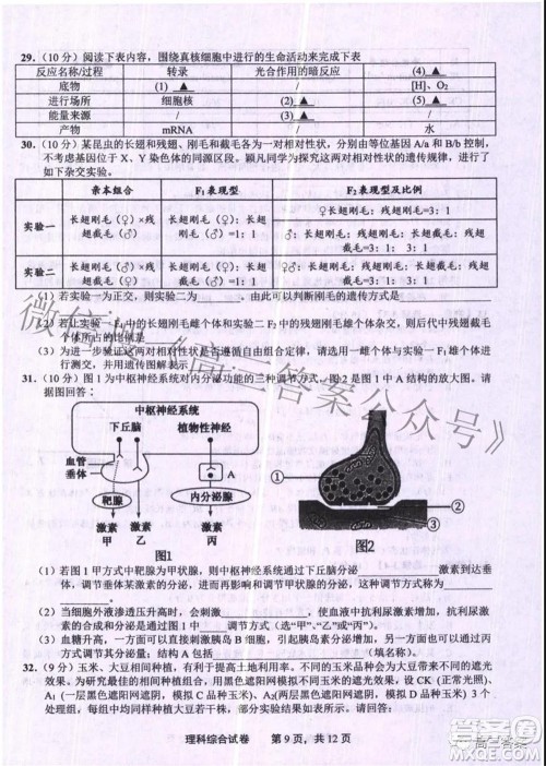 上饶市2022届高三第一次高考模拟考试理科综合试题及答案