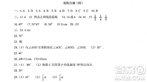 黑龙江少年儿童出版社2022寒假Happy假日七年级数学人教版答案