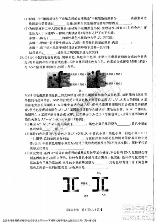 辽宁省县级重点高中协作体2021-2022学年高三上学期期末考试生物试题及答案