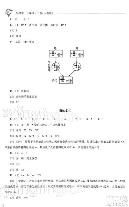 山西教育出版社2022新课程问题解决导学方案八年级生物下册人教版答案